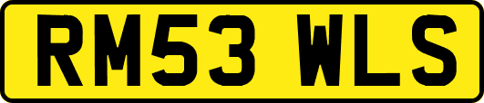 RM53WLS