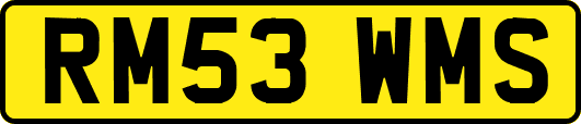 RM53WMS