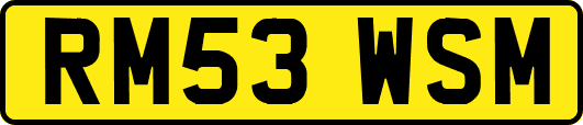 RM53WSM