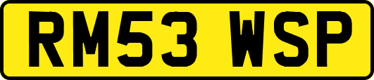 RM53WSP