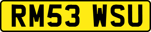 RM53WSU