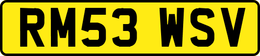 RM53WSV