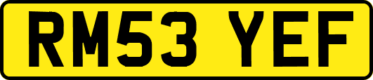 RM53YEF