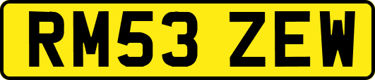 RM53ZEW