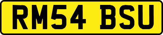 RM54BSU