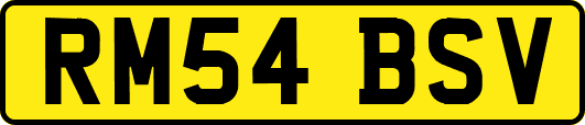 RM54BSV