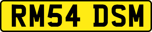 RM54DSM