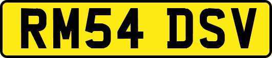 RM54DSV