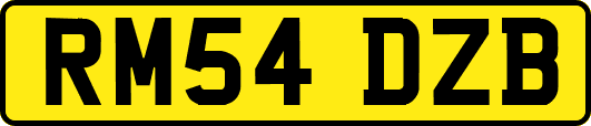 RM54DZB