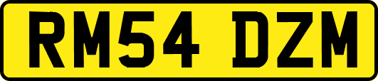 RM54DZM