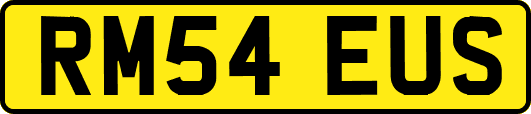 RM54EUS