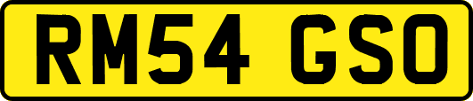 RM54GSO