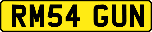 RM54GUN