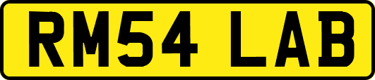 RM54LAB