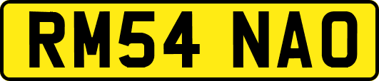 RM54NAO