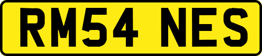 RM54NES