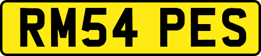 RM54PES