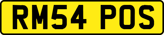 RM54POS