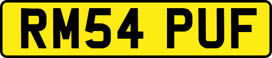RM54PUF