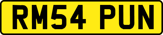 RM54PUN