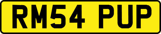 RM54PUP