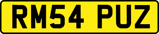 RM54PUZ