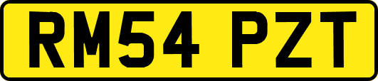 RM54PZT