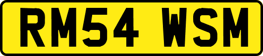 RM54WSM