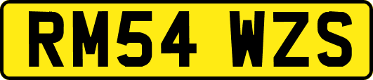 RM54WZS