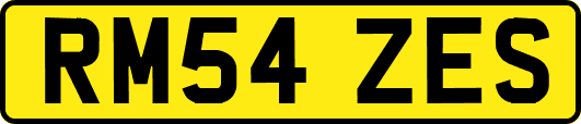 RM54ZES
