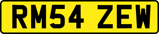 RM54ZEW