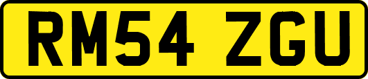RM54ZGU