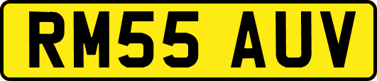 RM55AUV