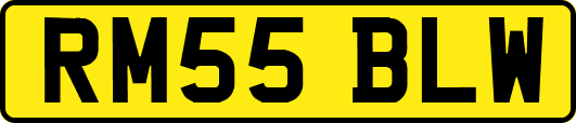 RM55BLW