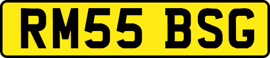 RM55BSG