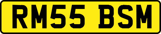 RM55BSM