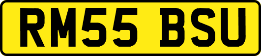 RM55BSU