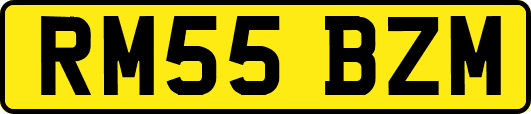 RM55BZM