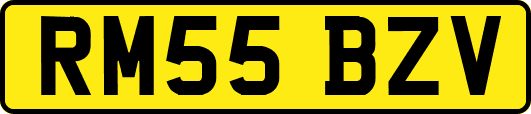 RM55BZV