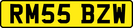 RM55BZW