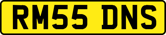 RM55DNS