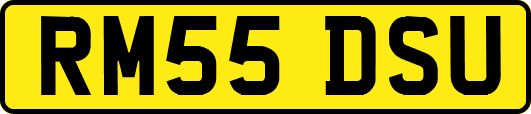 RM55DSU