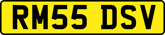 RM55DSV