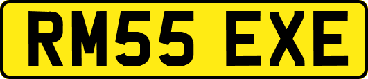 RM55EXE