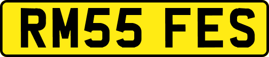 RM55FES