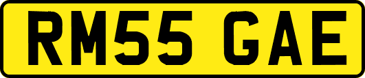RM55GAE