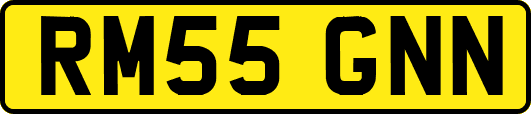 RM55GNN