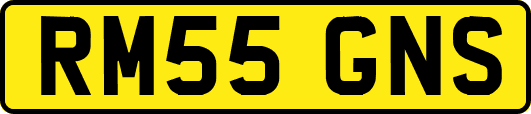 RM55GNS