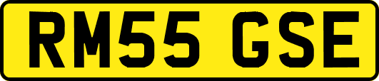 RM55GSE