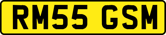 RM55GSM